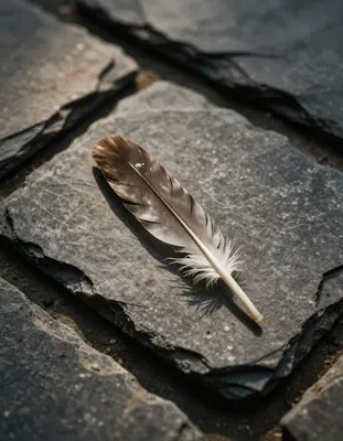 A solitary hawk feather lies on a weathered slate tile, captured with a Sony A7R IV and a 135mm f/1.8 lens, in a moody, high-